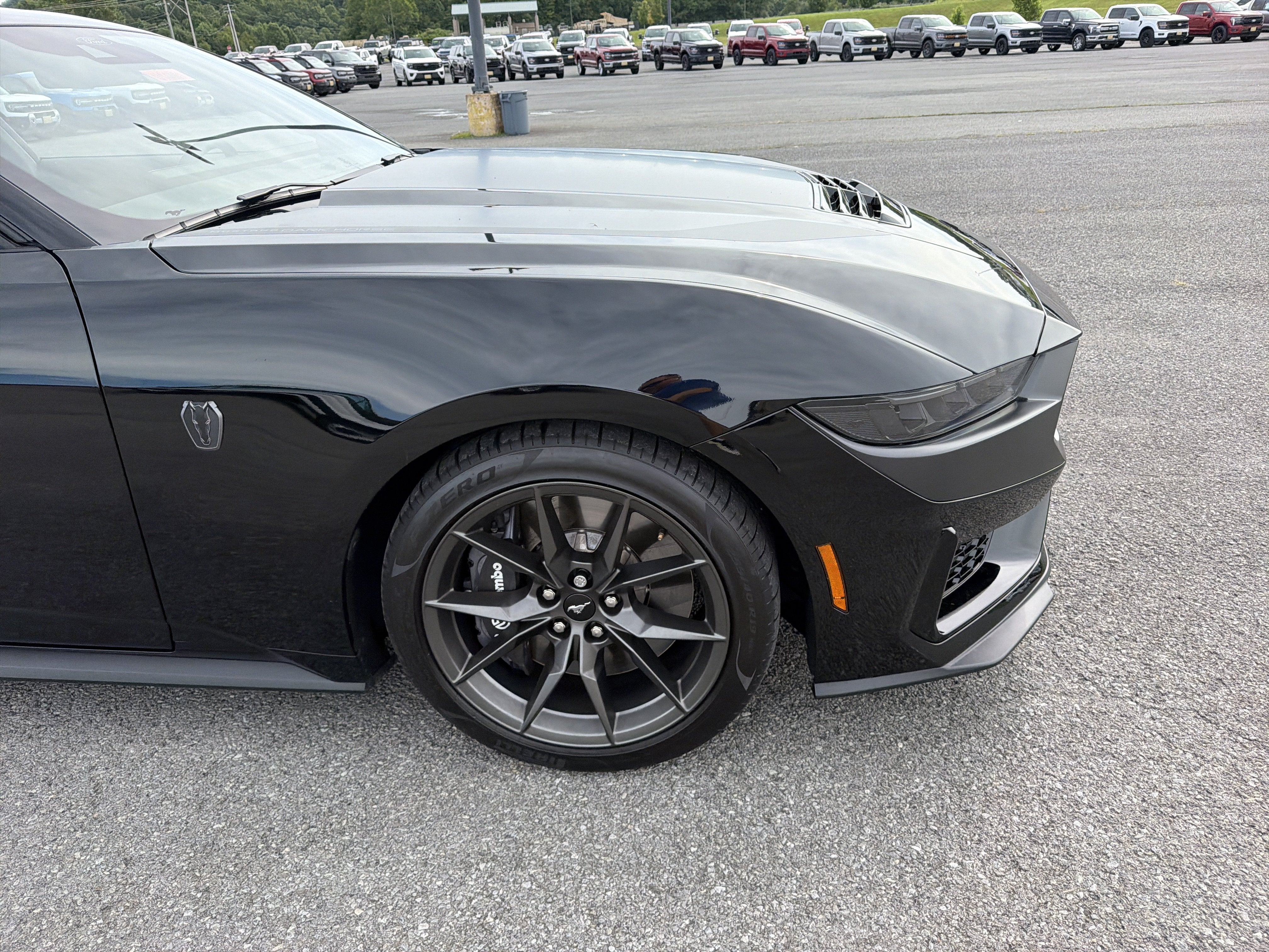 2024 Ford Mustang Dark Horse